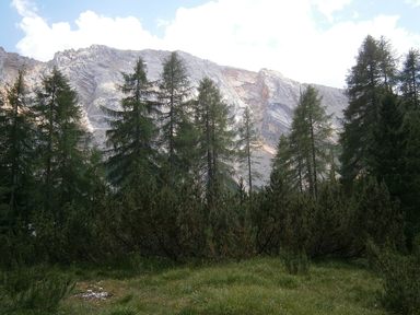 Salita alla Furcia (Forcella) dai Fers