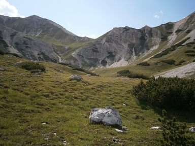 Furcia (Forcella) dai Fers 2320