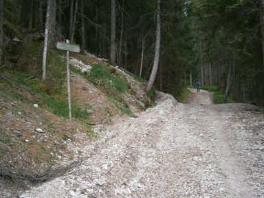 La strada della Val Padeon