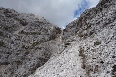 Forcella Michele 2590