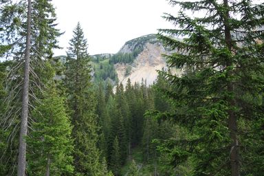 Il sentiero Malga Ra Stua - Ciampo del Crosc (Campo Croce)