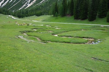 I meandri del Ciampo del Crosc (Campo Croce)