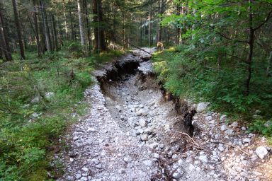 Marmarole