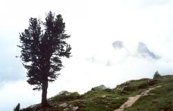 Sul sentiero 213, traversando dalla Forcella Faloria presso il bivio per Forcella del Cadin