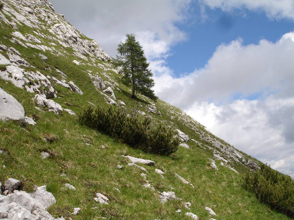 Monte Ciaudierona
