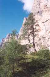 "Il Lares del Belo"[asPDZ,213], circa 1800m, alla base ovest del Sasso di Bosconero