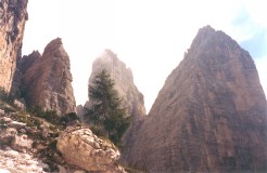?Lares del Bello? 'un vechio larice, che spicca per la sua statura e posizione isolata sulla rada vegetazione arbustiva'[asPDZ,213]