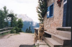 Pelmo, Il cane, Rifugio San Marco